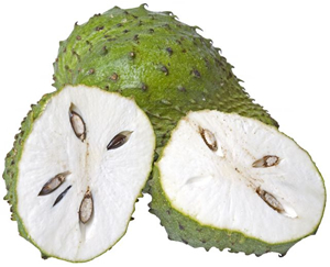 SOURSOP (Annona muricata L.)